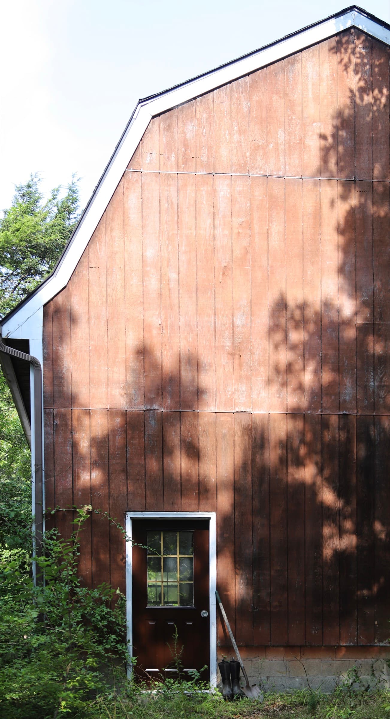 Sunlit weathered wood siding and doorway of the cidery barn